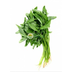 Bayam 苋菜