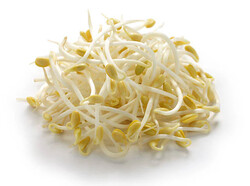 BeanSprout Ipoh 怡保芽菜