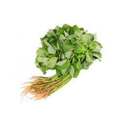 Bayam Baby 苋菜苗