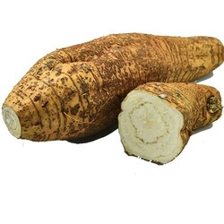 Arrow Root 粉葛