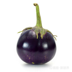 Brinjal Round 圆茄子