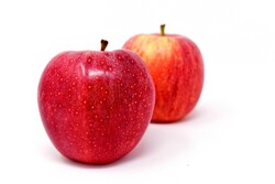Apple Red 红苹果