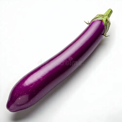 Brinjal Long 长茄子