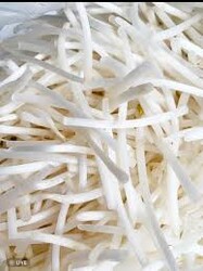Beansprout Cleaned 银芽