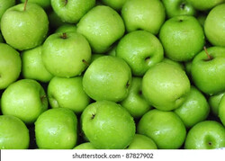 Apple Green 青苹果