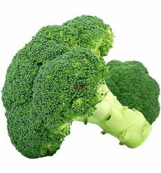 Broccoli 西兰花